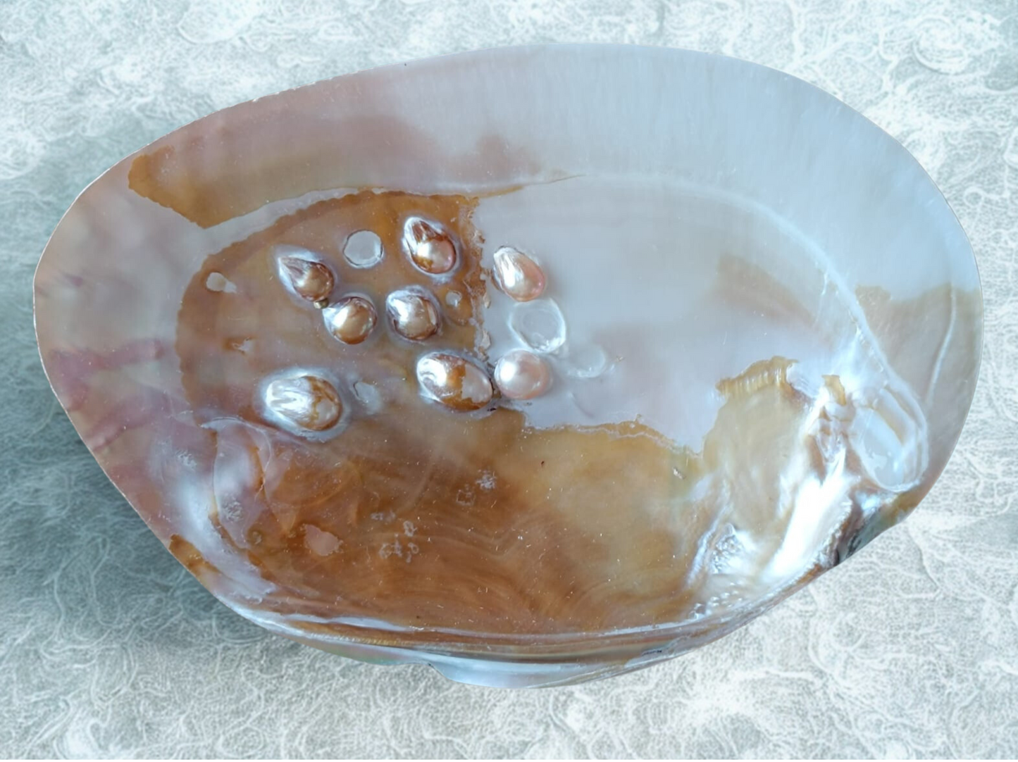đŠȘâš Coquille dâHuĂźtre PerlĂ©e â Recharge et Harmonisation des Pierres