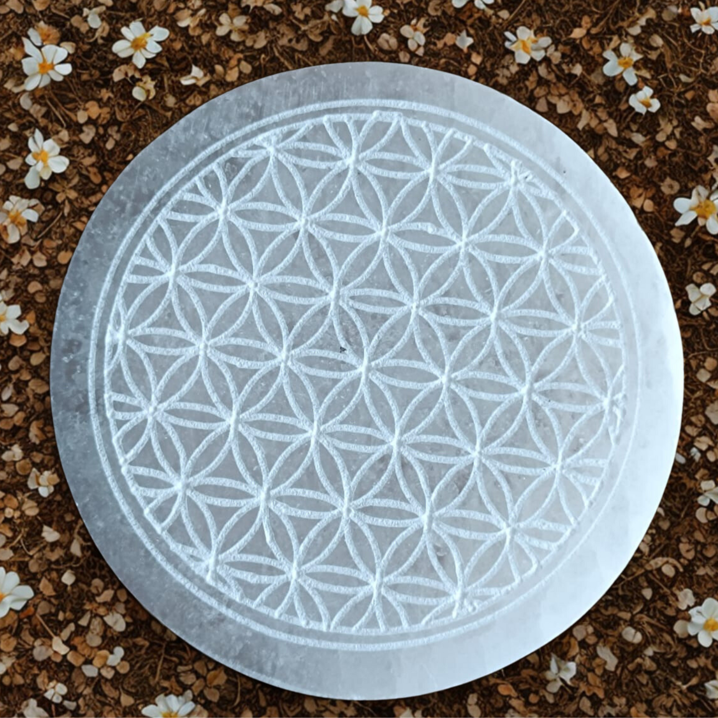 Disque en Sélénite – Fleur de Vie